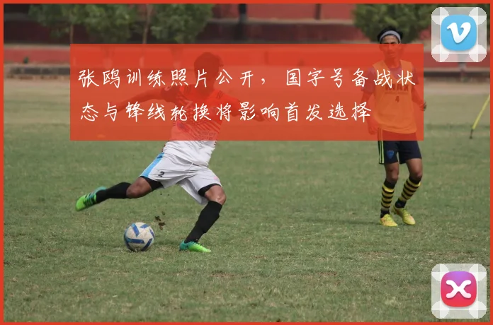 张鸥训练照片公开，国字号备战状态与锋线轮换将影响首发选择