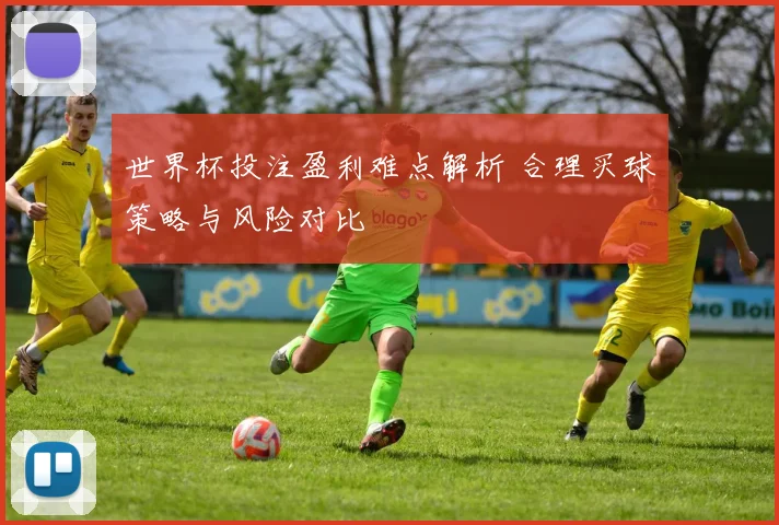 世界杯投注盈利难点解析 合理买球策略与风险对比