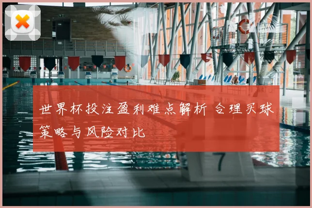 世界杯投注盈利难点解析 合理买球策略与风险对比