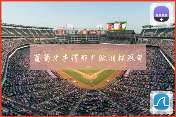 葡萄牙夺得那年欧洲杯冠军
